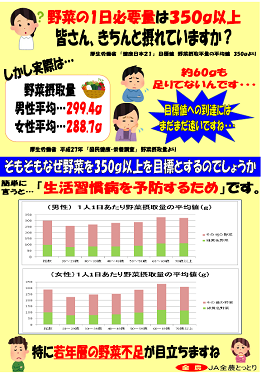 野菜たりてますか？？？の内容を表示