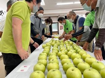 出来ばえを確認する参加者の内容を表示