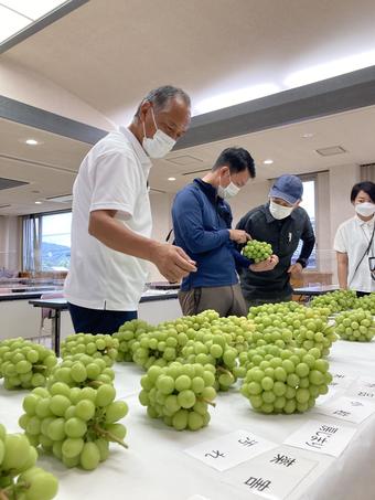 出来ばえを確認する参加者の内容を表示