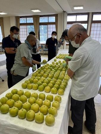 選果・選別作業の内容を表示