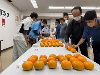 出来ばえを確認する参加者の内容を表示