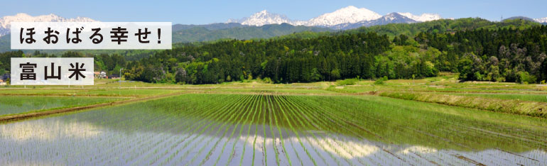 ほおばる幸せ！富山米