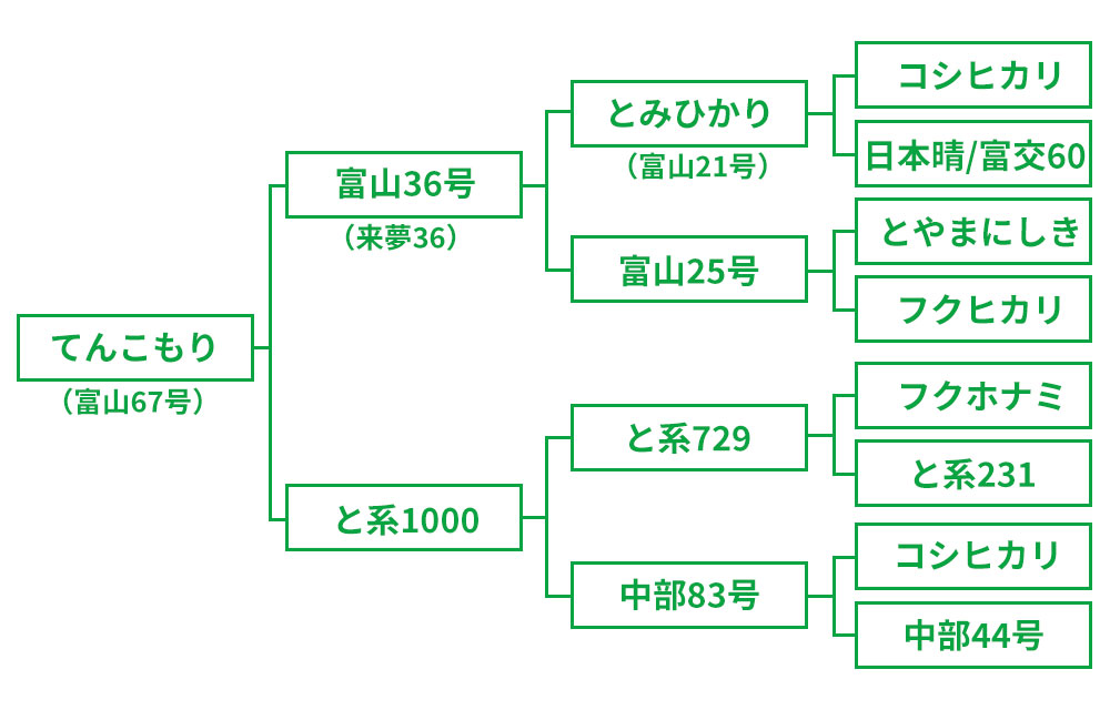 てんこもり