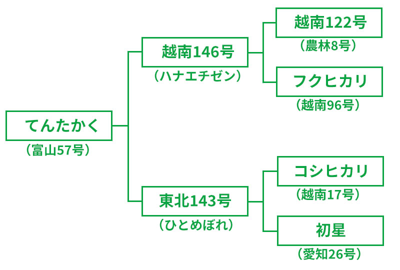 てんたかく