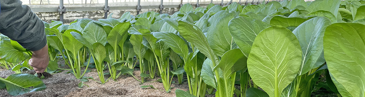 富山は、美味しい