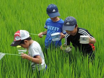 どんな生きものが採れたかな?の内容を表示