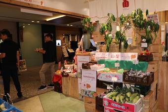 店内には、ももの木もセッティングされましたの内容を表示