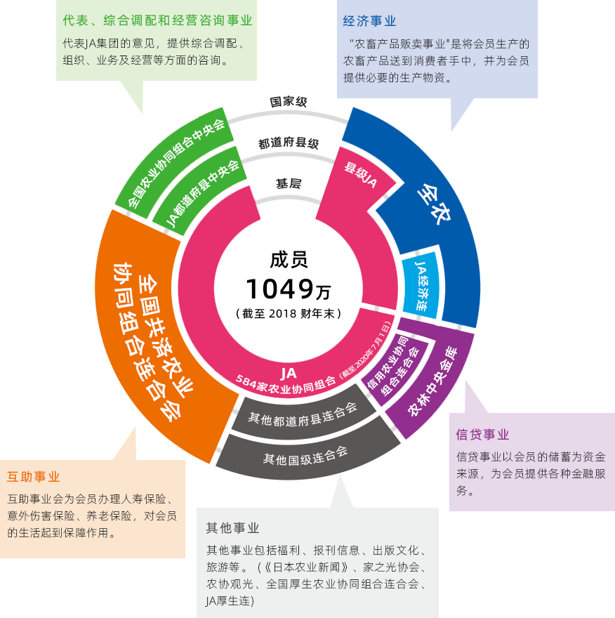 农业协同组合组织结构