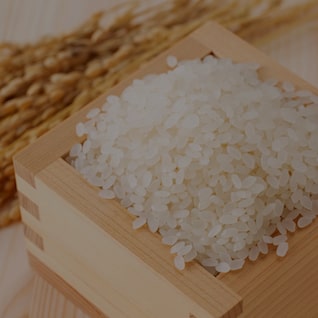 大米和谷物生产业务
